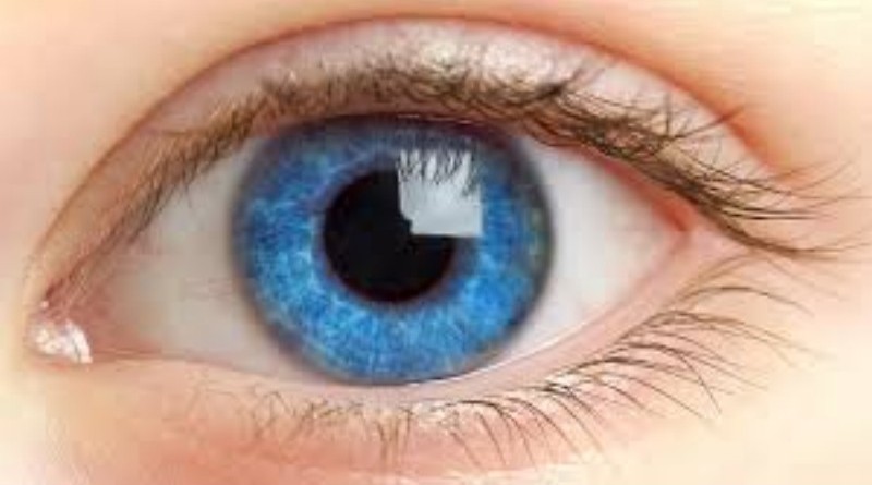 پنج راه حل ساده برای مراقبت از چشم ها